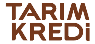 Ana Logo