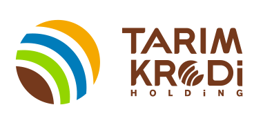 Holding Logo