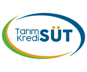 Süt