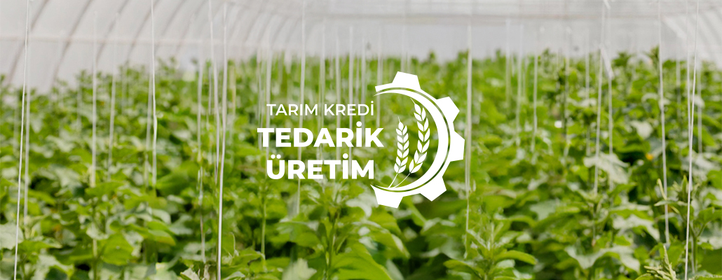 Tarım Kredi Tedarik ve Üretim Kuruldu