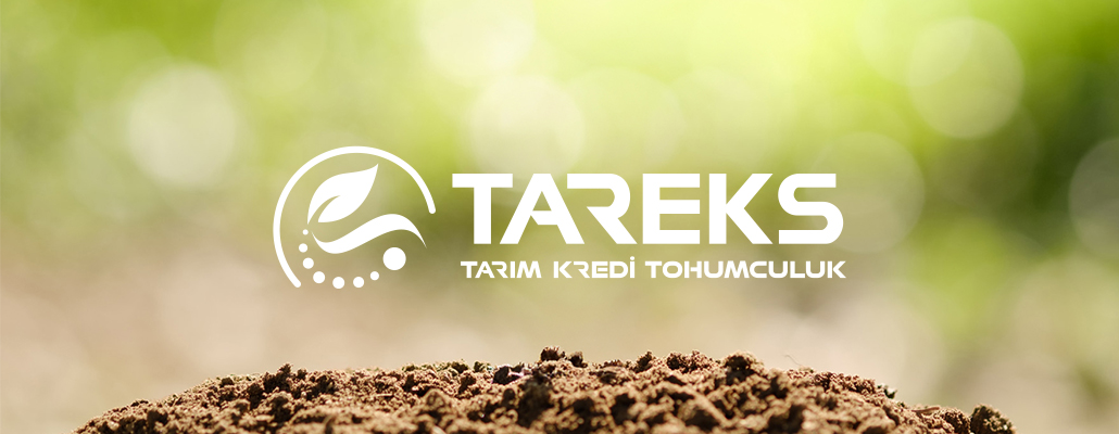 Tareks Kuruldu
