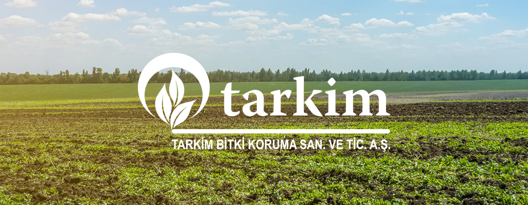 Tarkim Kuruldu
