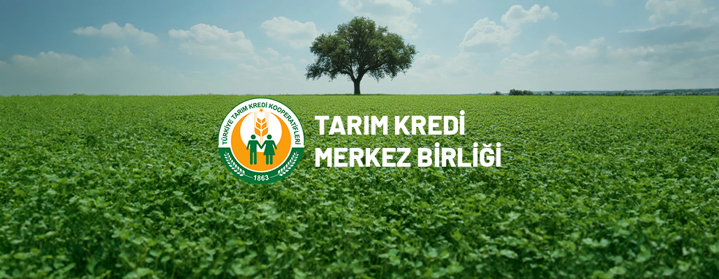 Merkez Birliği Kuruldu